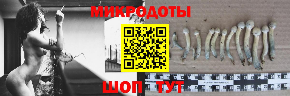 Галлюциногенные грибы MAGIC MUSHROOMS Рязань